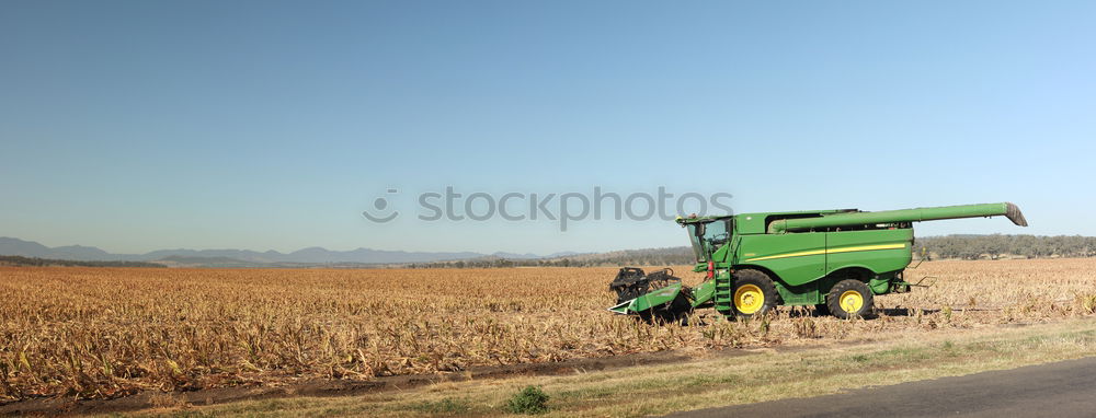 Similar – Image, Stock Photo bulldog Tractor