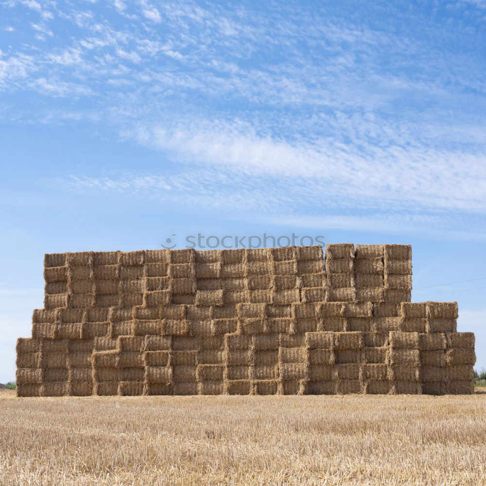 Similar – straw hut Straw