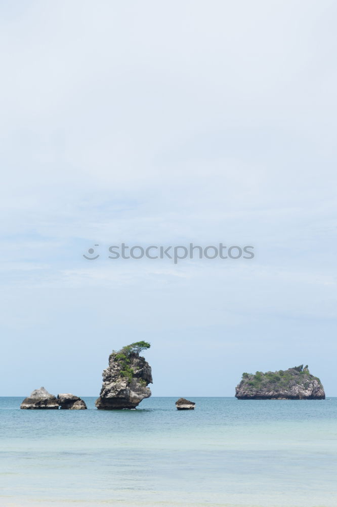 Similar – Image, Stock Photo awakeness. Cloudless sky