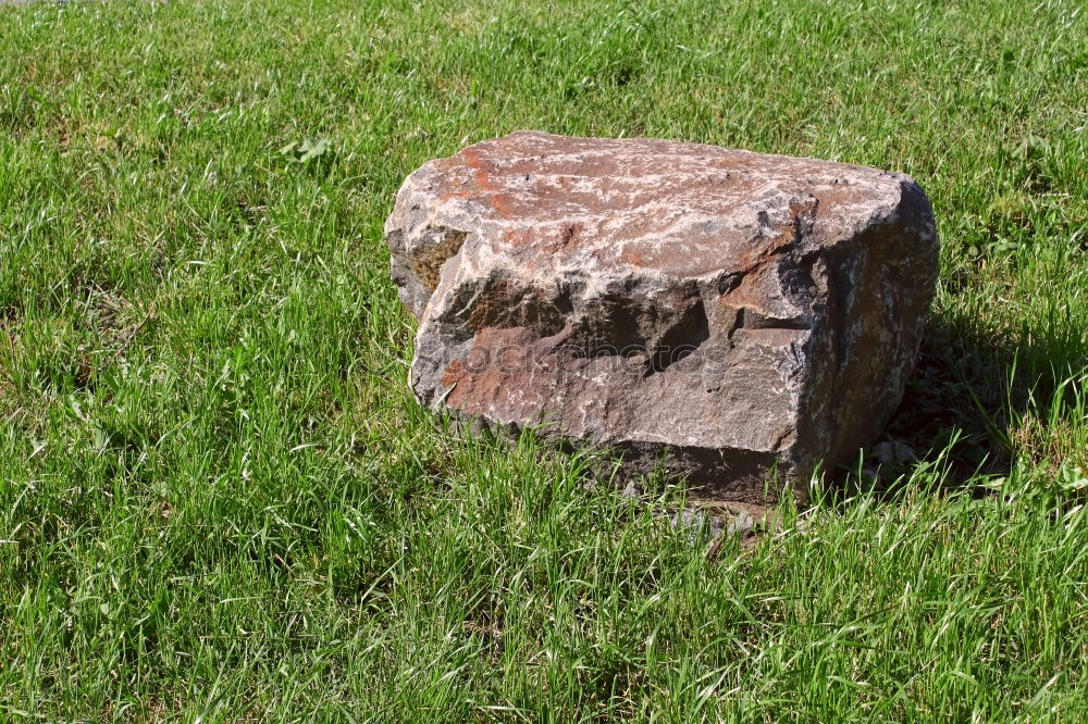 Image, Stock Photo undermining Meadow