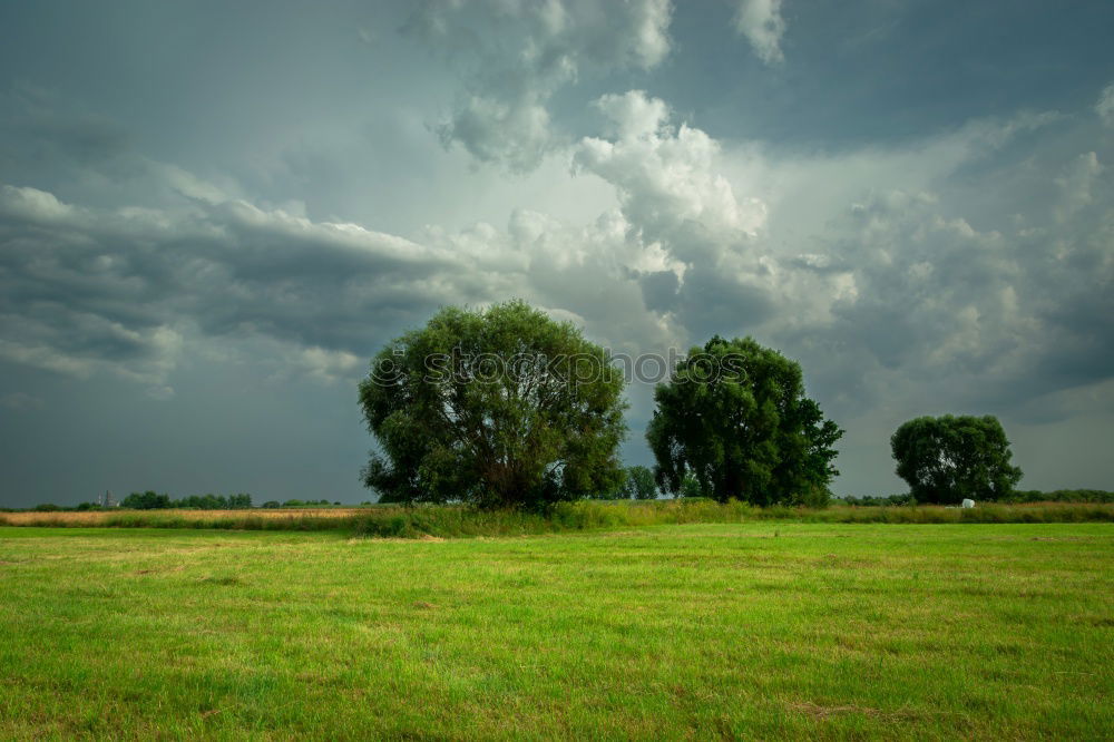 Similar – Image, Stock Photo Winds wehn, ships wehn…