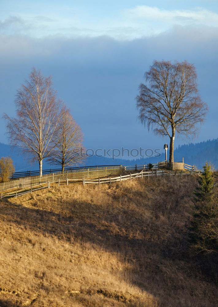 Similar – Image, Stock Photo Lone tree in autumn mountains