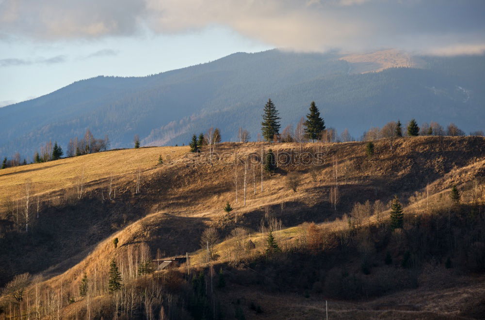 Western Colorado