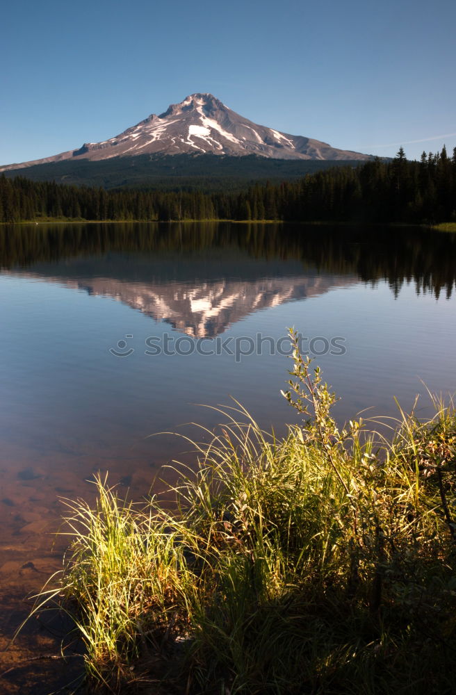 Similar – Image, Stock Photo rest Vacation & Travel