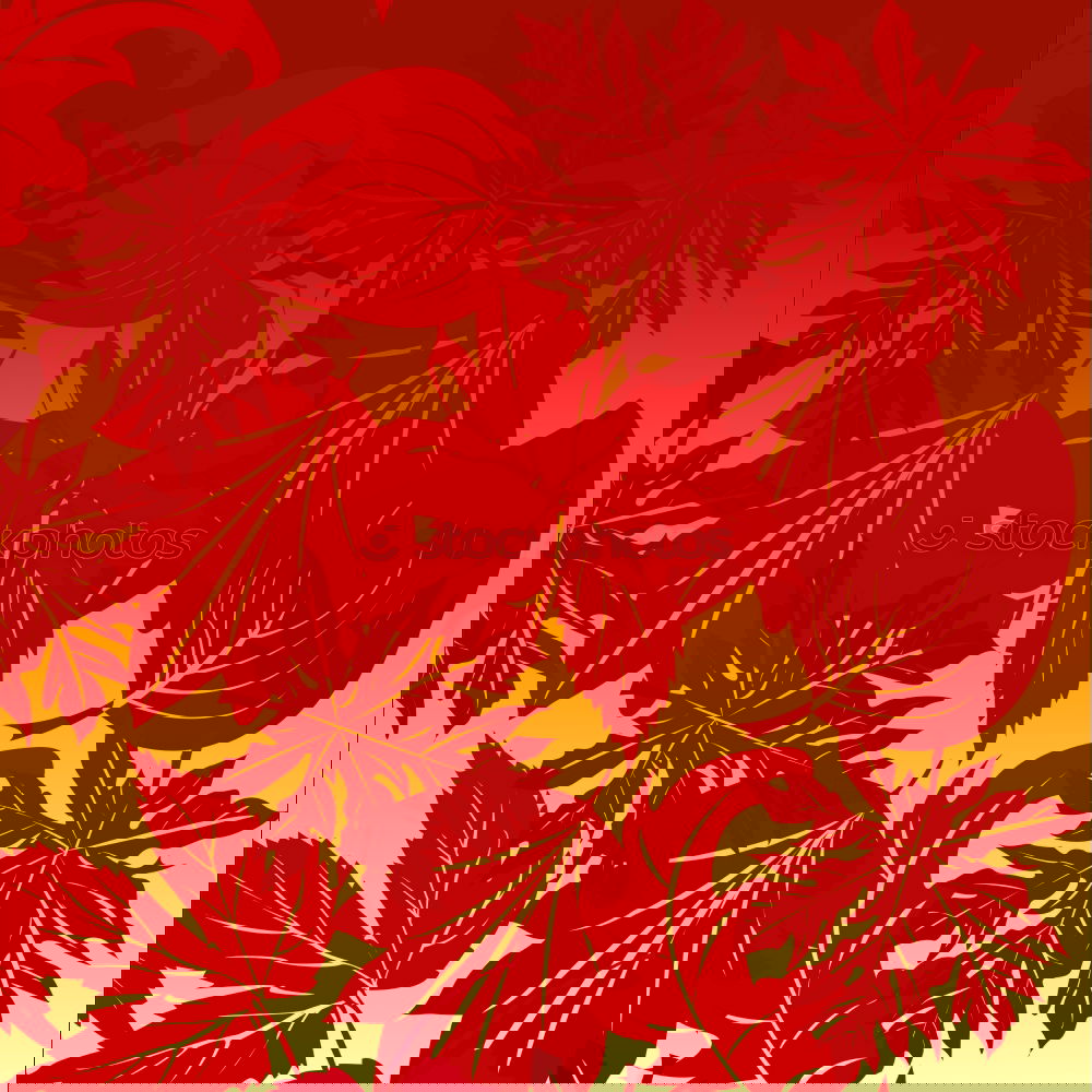 Similar – Image, Stock Photo Autumn leaves in back light