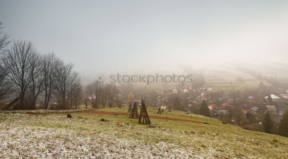 Similar – Image, Stock Photo Sunset in the fog Nature