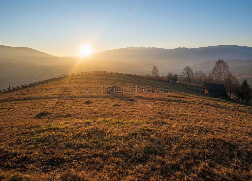 Similar – Image, Stock Photo Winding paths with cypress trees between the green fields.