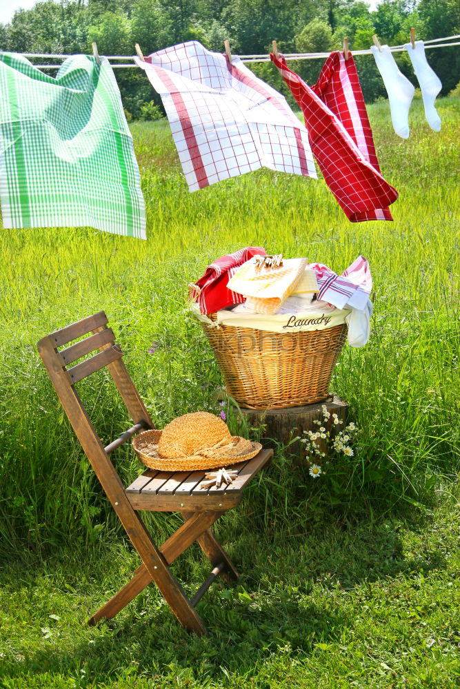 Similar – Image, Stock Photo washing day Laundry