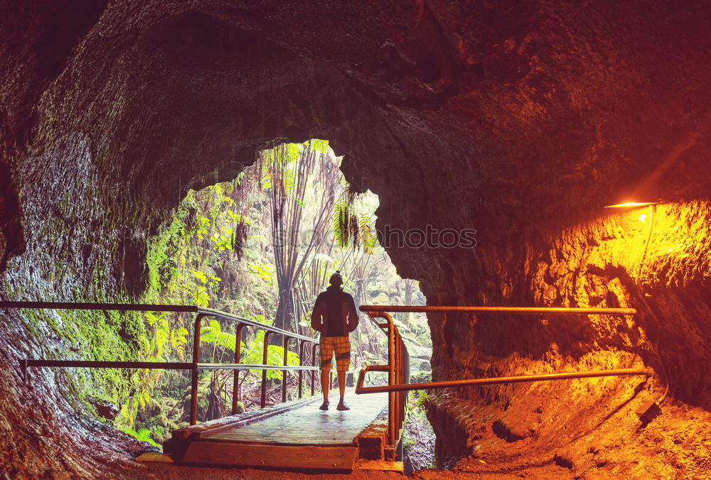 Similar – Image, Stock Photo Wooden walkway in gorge