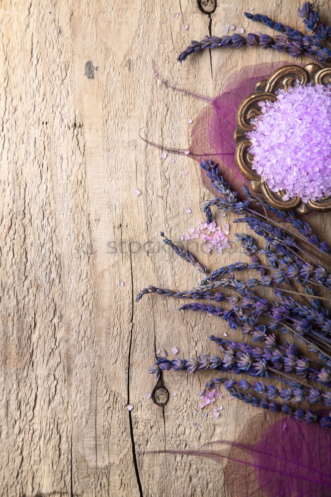 Similar – Image, Stock Photo Autumn flowers decoration handicraft
