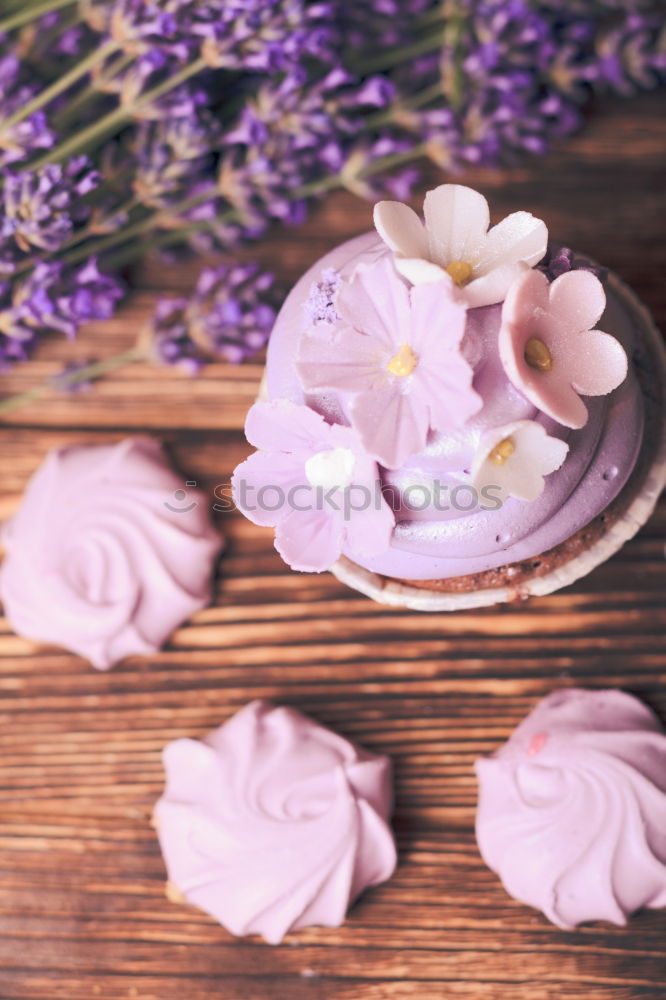 Pink macaroons and natural flowers on light wooden table