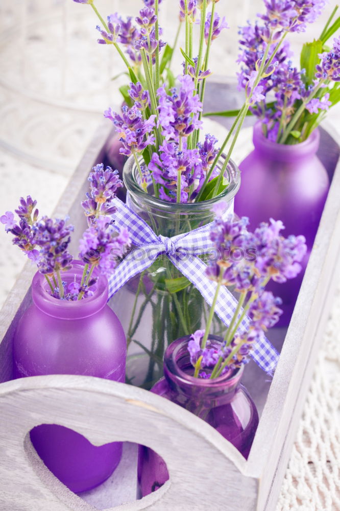 Similar – Image, Stock Photo Lavender Syrup Violet