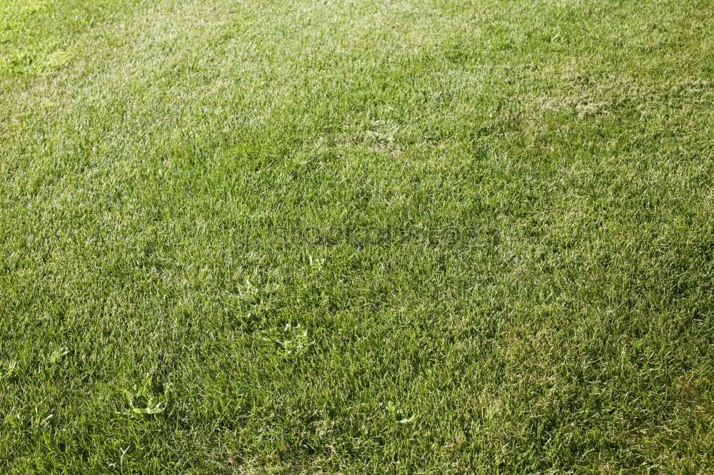 Similar – water hydrant Meadow