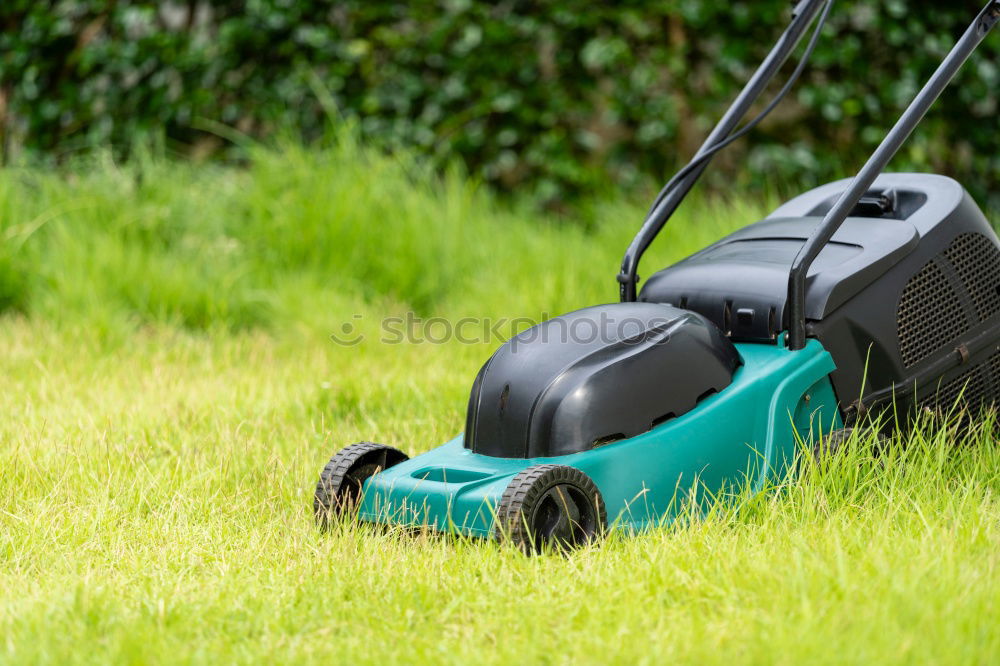 Similar – Image, Stock Photo Spraying pesticides with a portable sprayer to eliminate weeds from the lawn. Weed killer spray on the weeds in the garden. Pesticide use is harmful to health. Weed control concept. Weed killer