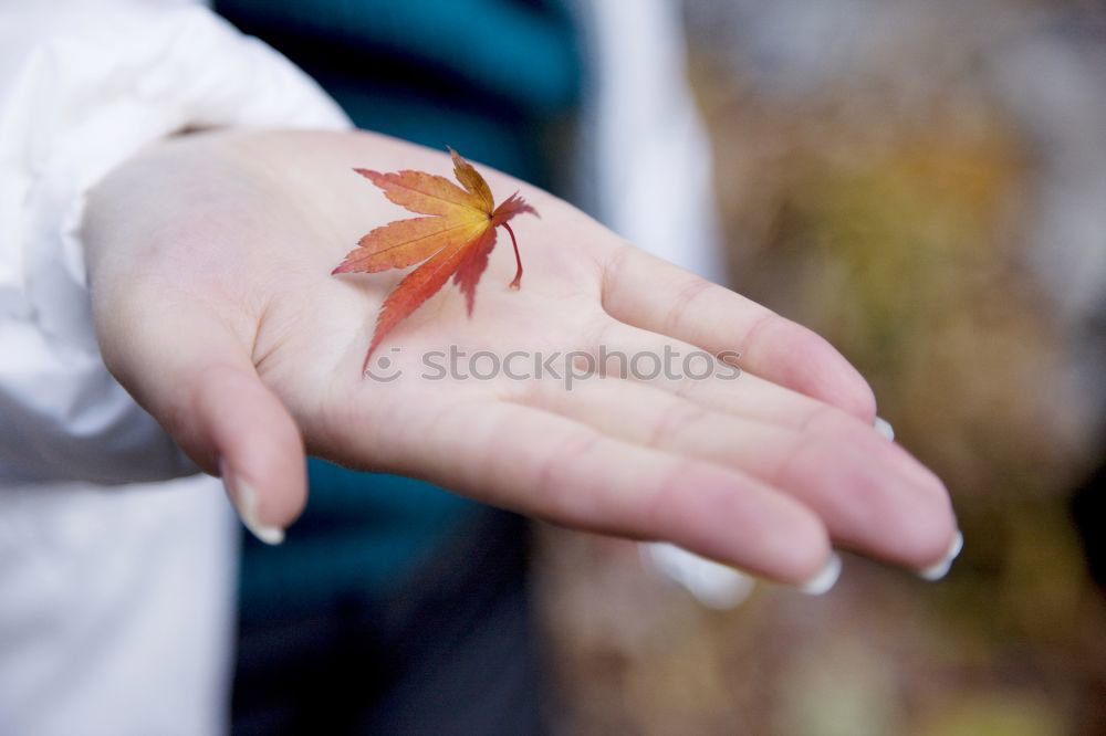Similar – Image, Stock Photo Middle age woman alone in nature in a cold autumn day