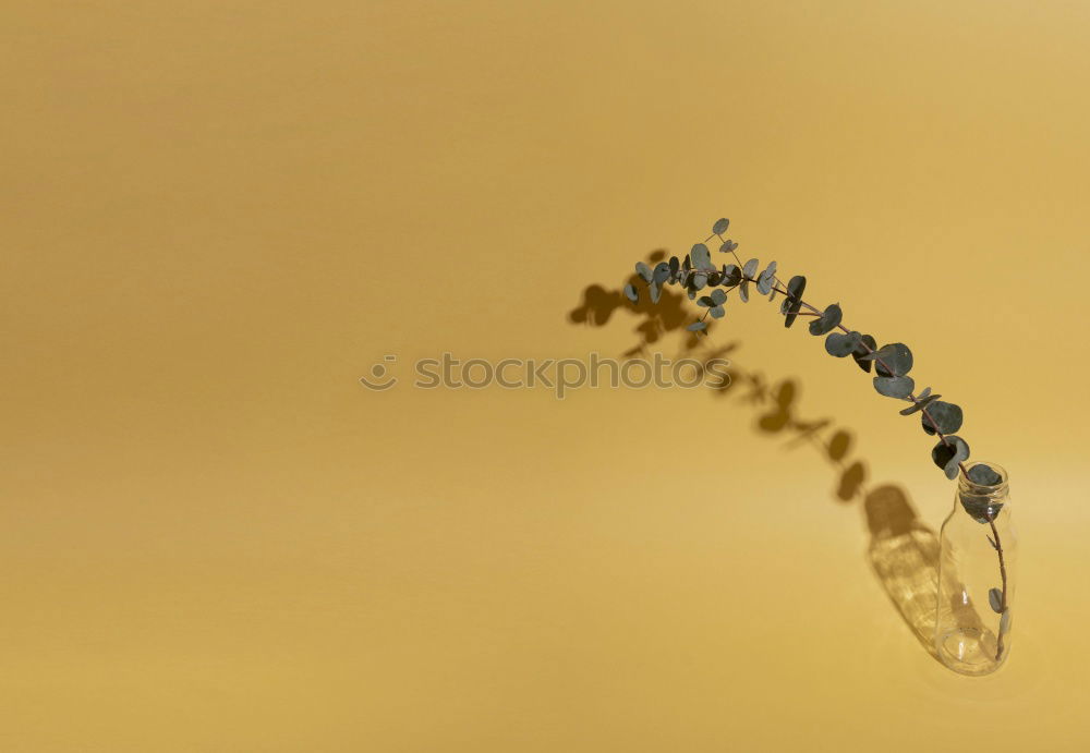 Similar – Image, Stock Photo vantage point Nature Plant