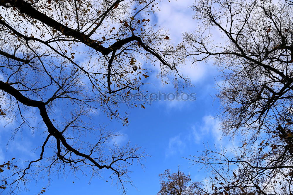 Similar – Blauer Himmel