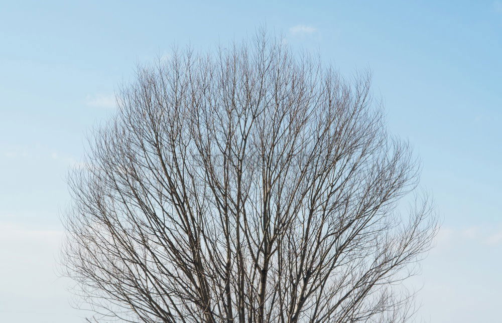 Similar – half shadow and half chimney