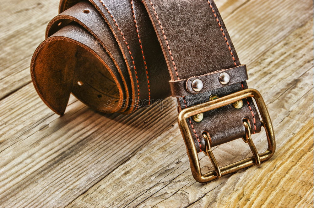 Similar – Image, Stock Photo Brown Leather Woman Bag Closeup