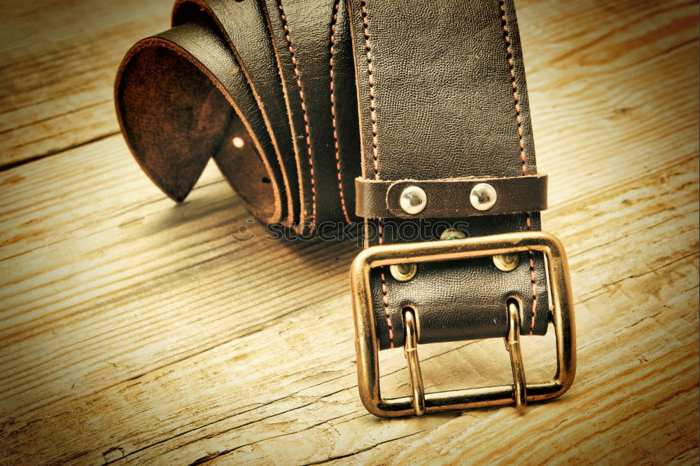 Similar – Image, Stock Photo Brown Leather Woman Bag Closeup