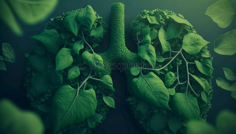 Similar – Image, Stock Photo Kale leaf Food Vegetable