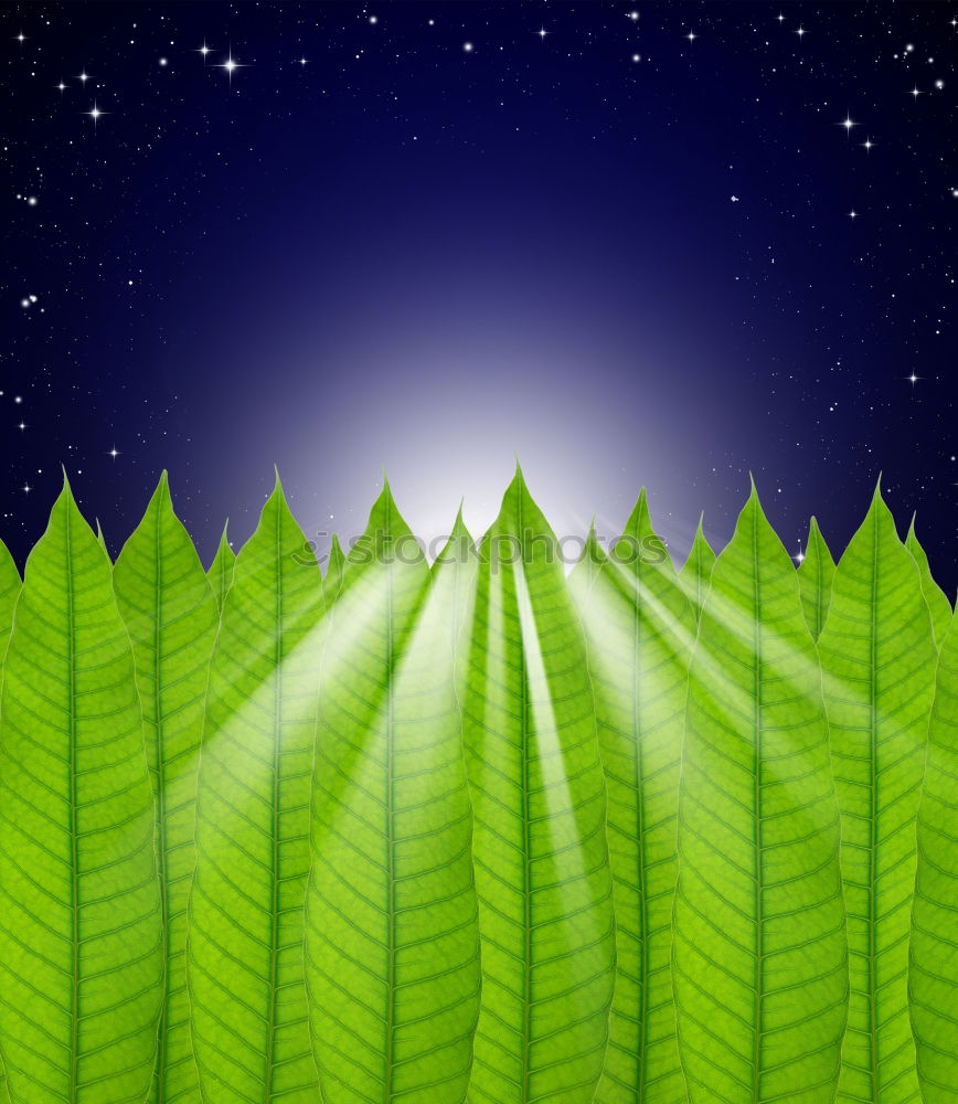 Similar – Image, Stock Photo greenscreen-ing Sun Nature