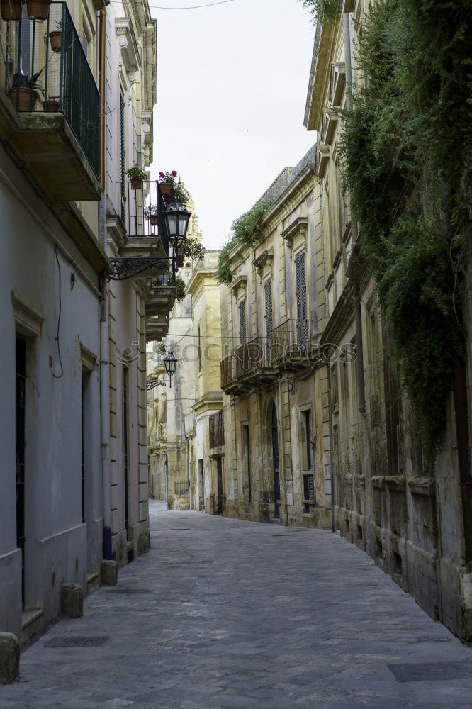 Similar – In the alleys of Valldemossa