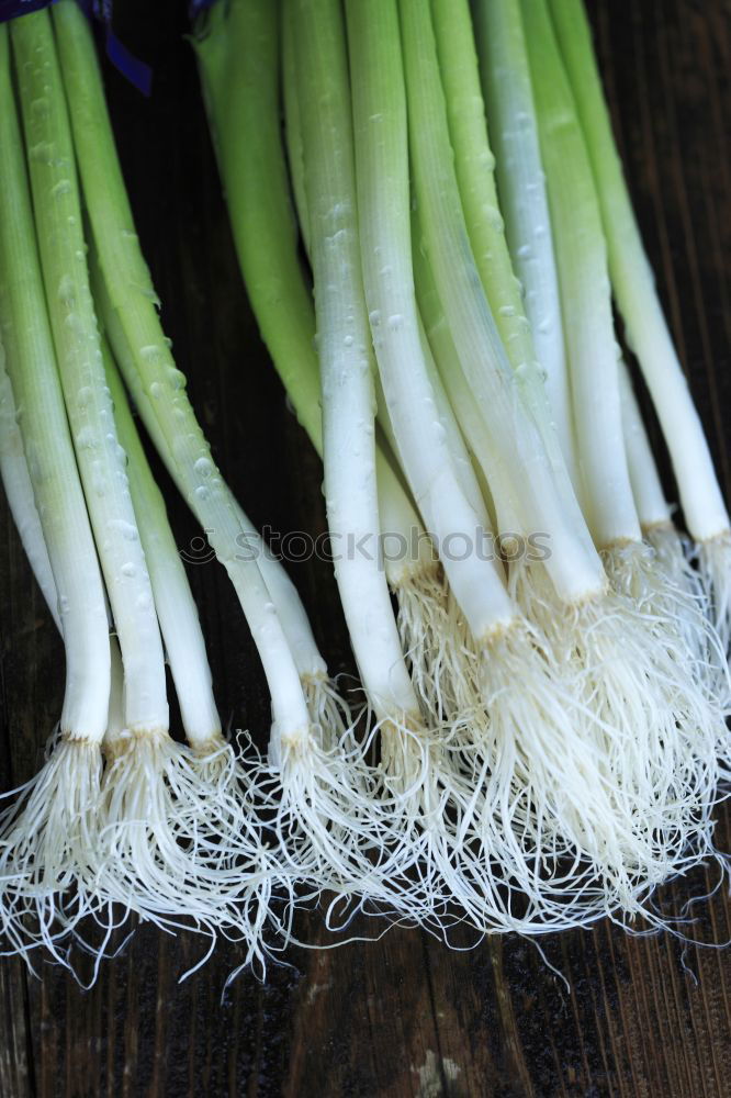 Similar – Image, Stock Photo spring onion Food