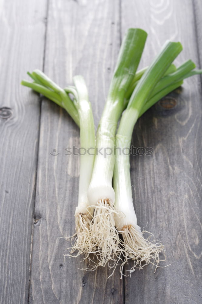 Similar – Fresh green garlic