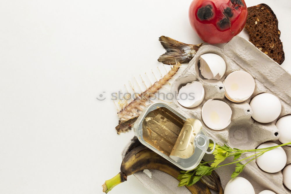 Similar – Image, Stock Photo Make a bouquet in autumn