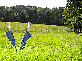 Similar – Image, Stock Photo garden tools on green lawn background.