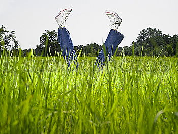 Similar – Sinnenbad Gras Wiese Zaun