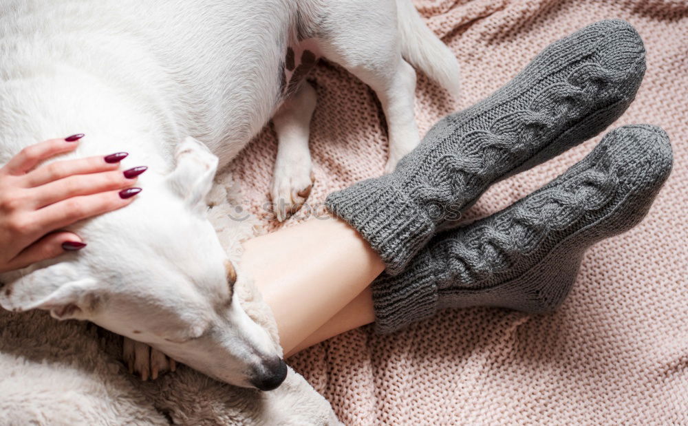 Similar – Image, Stock Photo Socks fluffy fur Feet