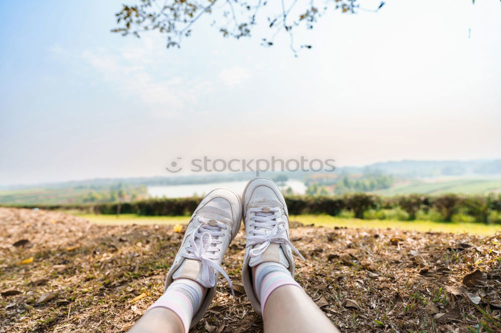 Similar – sniffing dog Dog Legs Feet