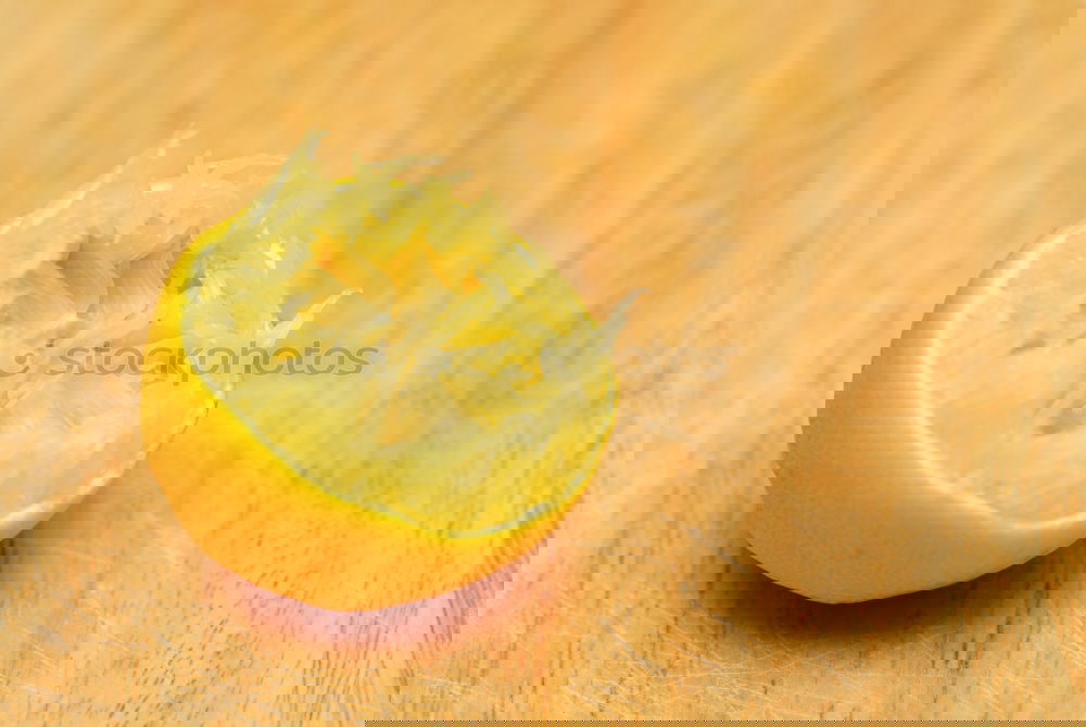 Similar – Image, Stock Photo #A# Oh No! Art Esthetic