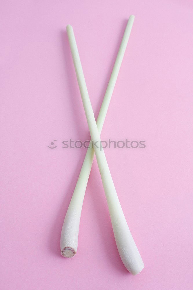 Similar – Image, Stock Photo reusable stainless steel straw with plastic straw