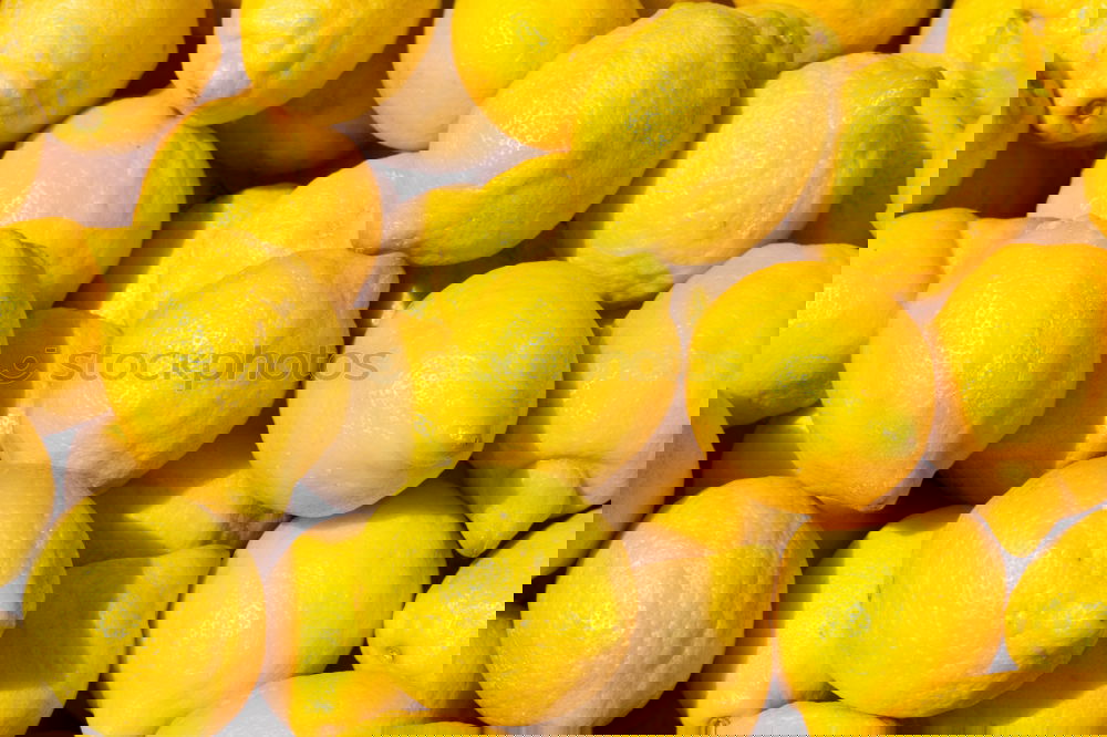Similar – Image, Stock Photo el limón. Food Esthetic