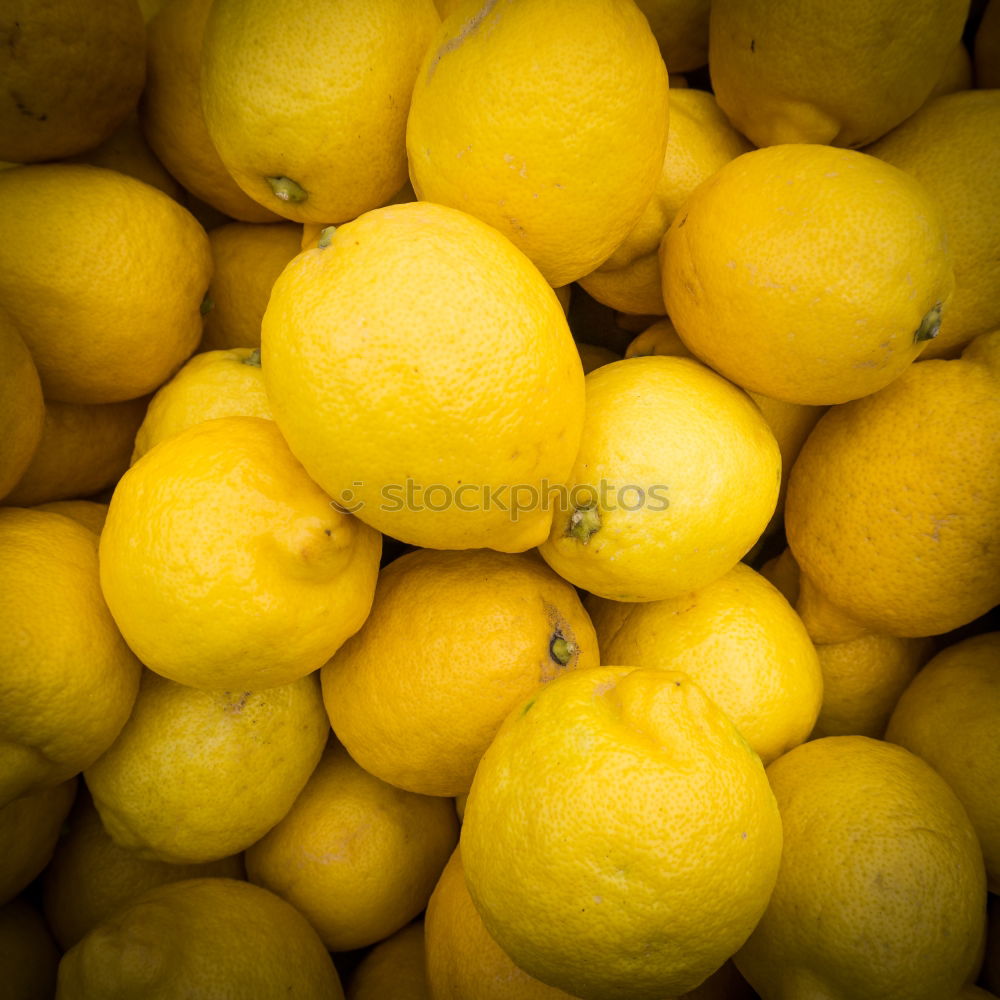 Yellow lemons Food Fruit