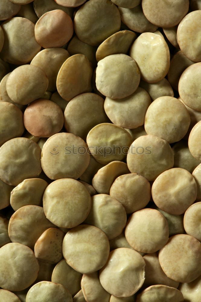 Similar – Image, Stock Photo #A# Nuts Food Nutrition