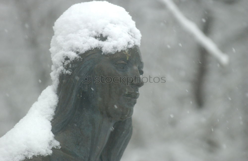 Similar – Image, Stock Photo Silence in the snow