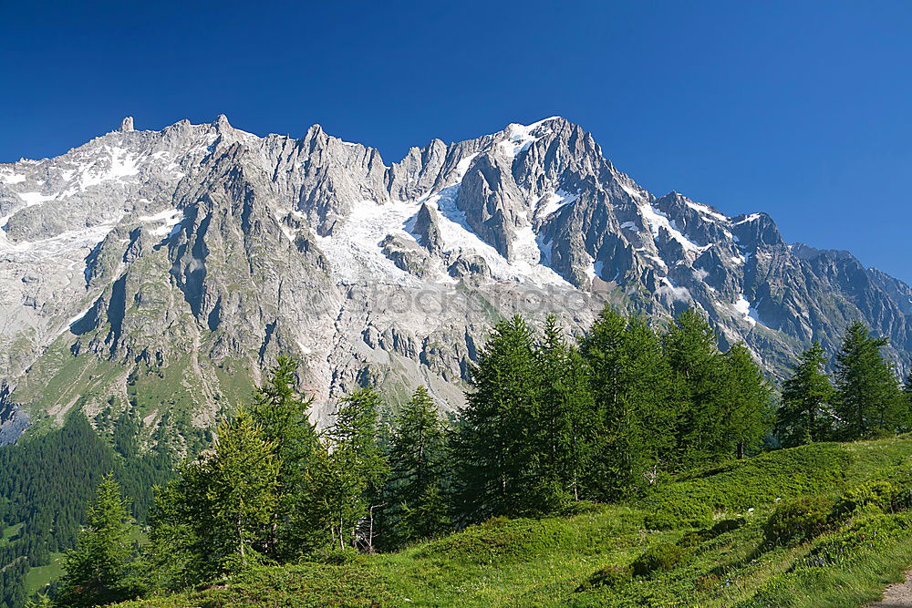 Similar – pilatus Sommer Wald fahren