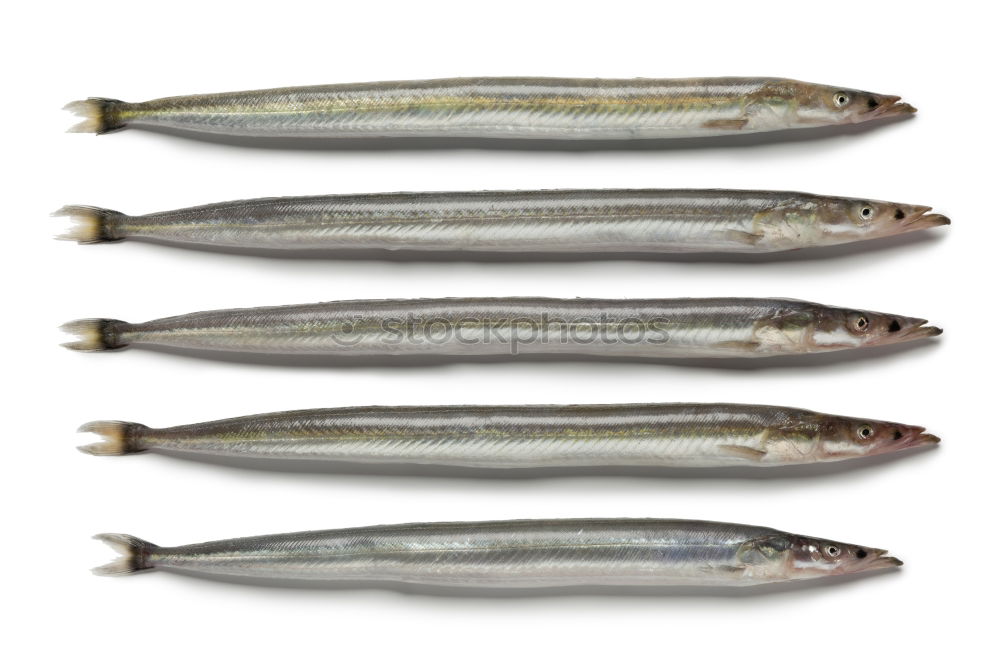 Similar – Image, Stock Photo raw trout on white paper