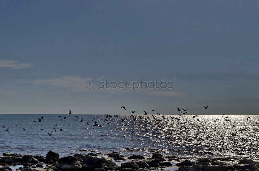 Similar – Image, Stock Photo Wadden Sea