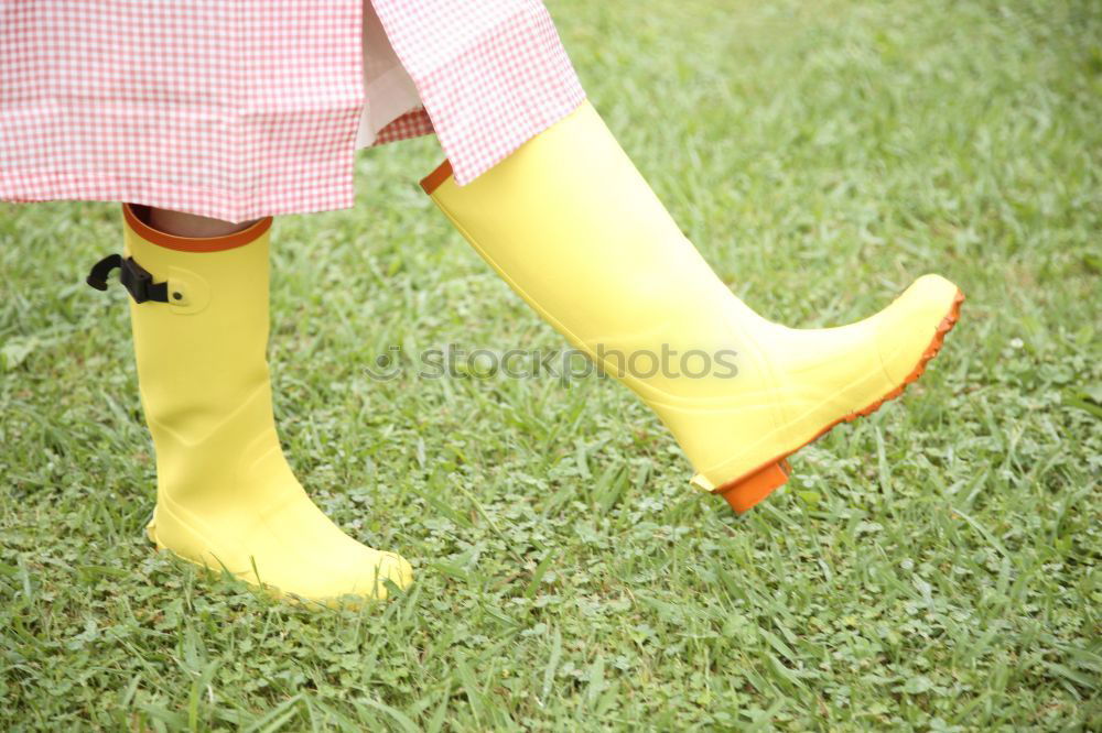 Similar – Rosa’s gumboots II rosa