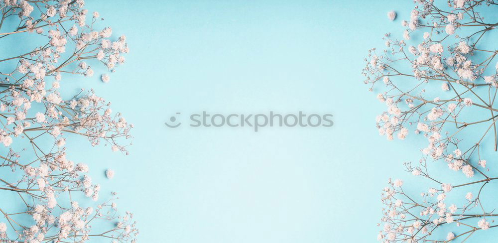 Similar – Image, Stock Photo Delicate spring blossoms on light blue background