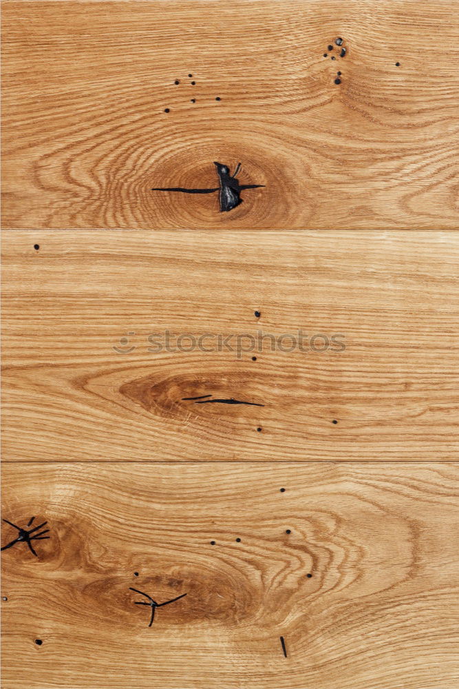 Image, Stock Photo wood grain surface Grain