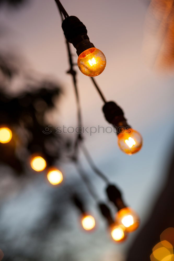 Similar – Image, Stock Photo lights Lifestyle Elegant