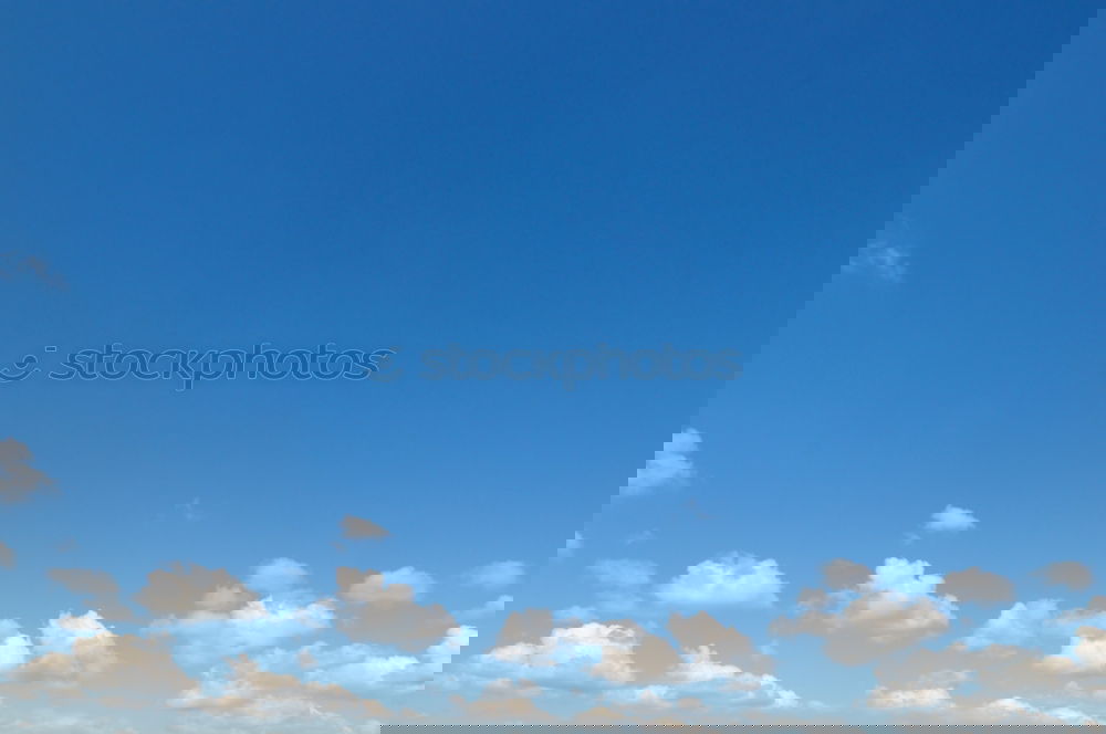 Similar – Image, Stock Photo Break at the mountain in the meadow