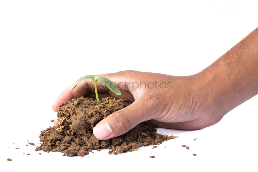 Image, Stock Photo Get your hands dirty!