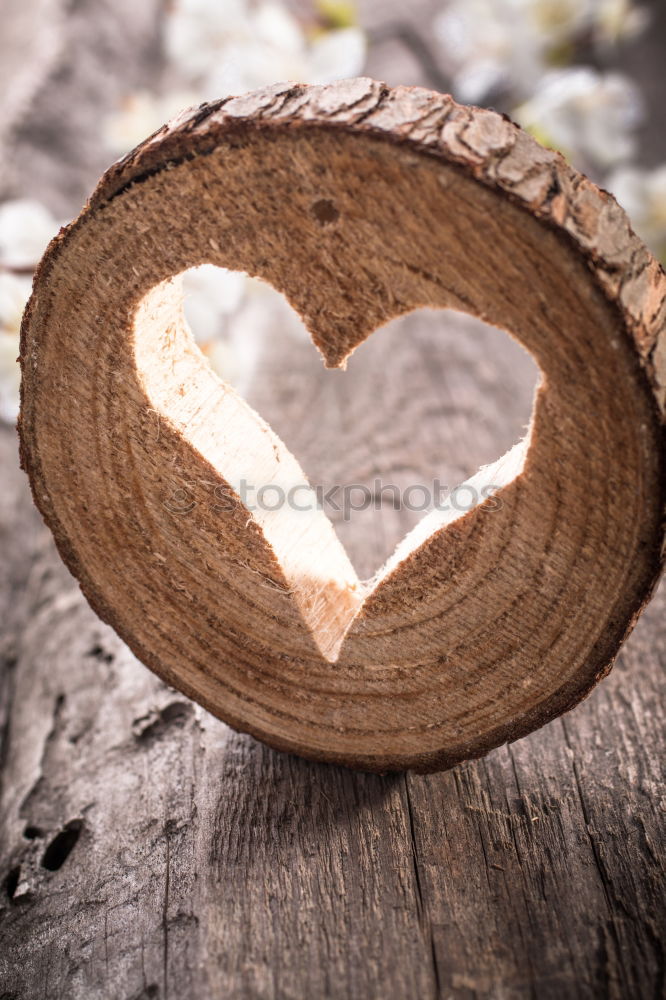 Similar – Image, Stock Photo donor organ